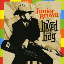 Junior Brown CD